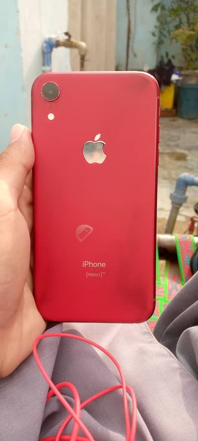 Apple iPhone XR, 64 JV, Chance Phone!