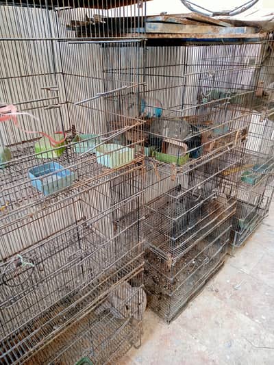 çege for sale good condition mean hai