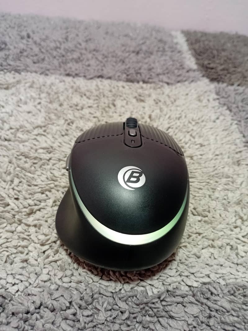 mouse 7