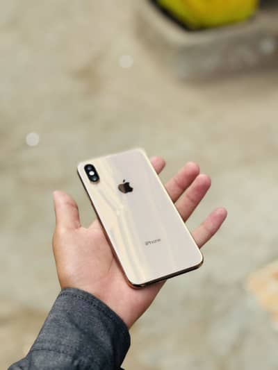 iPhoneXS