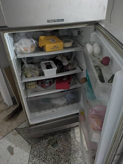 Pel Fridge