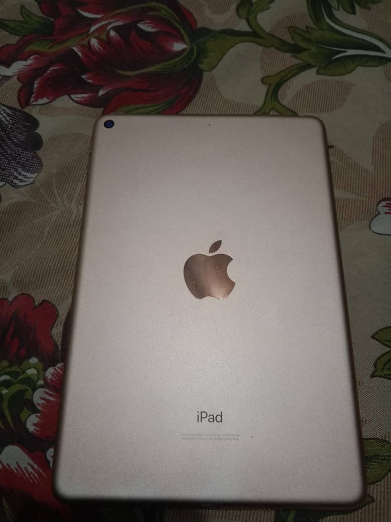 ipad mini 5 1