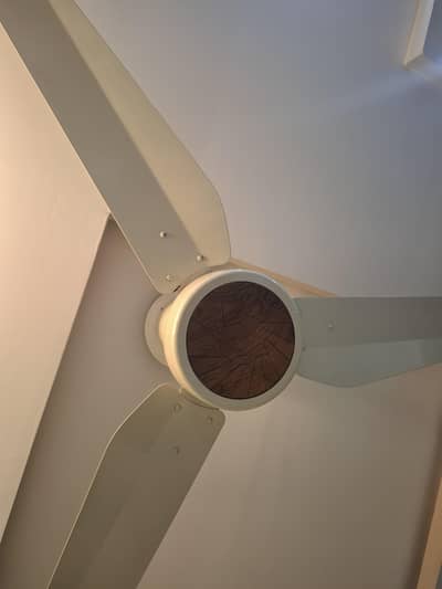 "5 Stylish PAK FAN Non-Inverter Ceiling Fans - Almost New Condition"