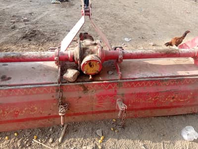 54 کٹر میں بہترین