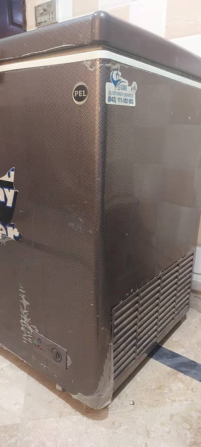 Pel single Door deep freezer