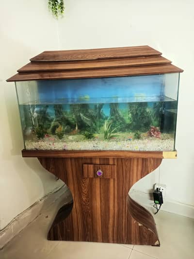 fish aquarium big size