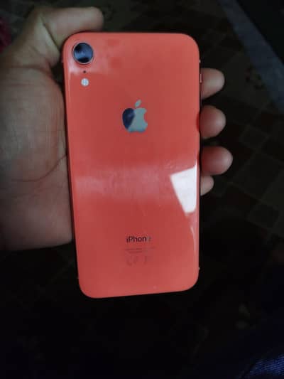 iPhone xr
