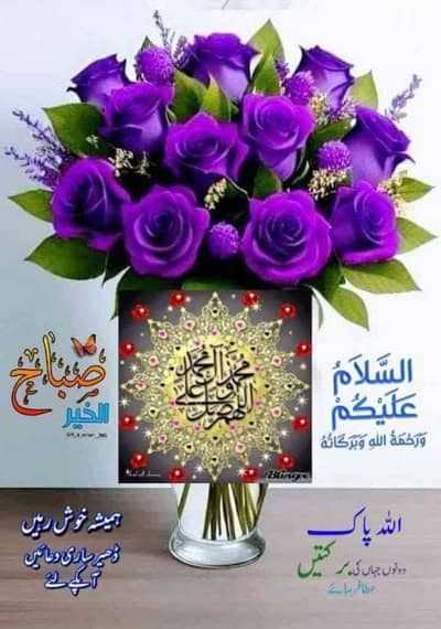 fidahussain