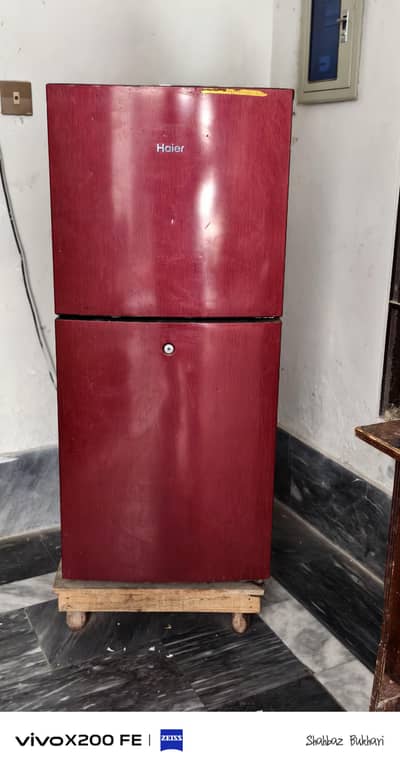 Haier Fridge Medium