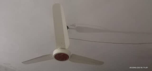 Royal ac do fan for sale