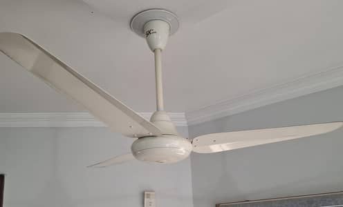 Cieling fans 56 inches