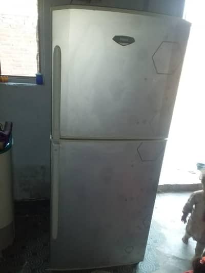 Haire fridge Bilkul ok God candishna 03038356796 . FSD d type colony