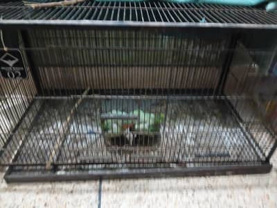 3 by 1.5 feet cage for all birds