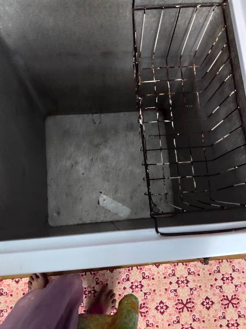 Waves deep freezer 1