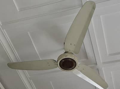 Royal celling Fan