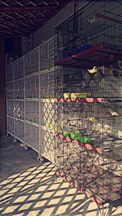 iron 4 portion tower cages