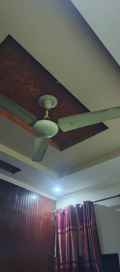 5 Ceilling Fans Master And Other 56''