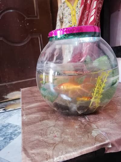 jaar +2pair fish+flower etc