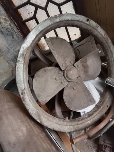 smal. exsart.  fan. coper