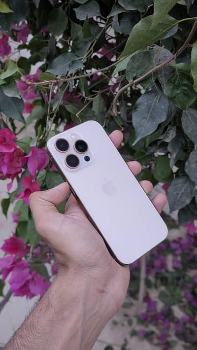 iPhone 16 Pro (Desert Titanium)