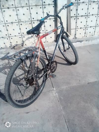 Phoenix Cycle for sale