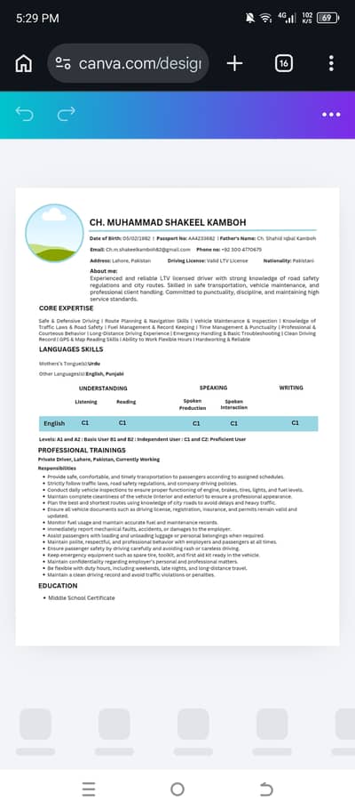 Euro pass CV, Canadian CV, professional CV