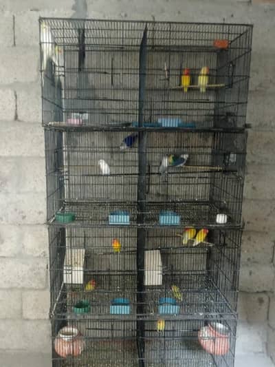 cage for sale