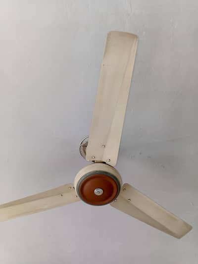 ceiling fan