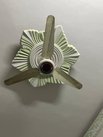 56 inches 2 Fan in New condition