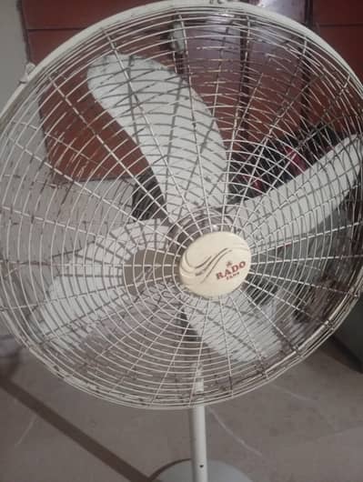 rado fan
