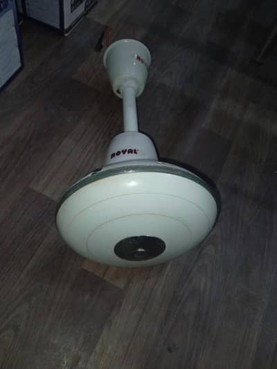 Royal fan copper  56 "