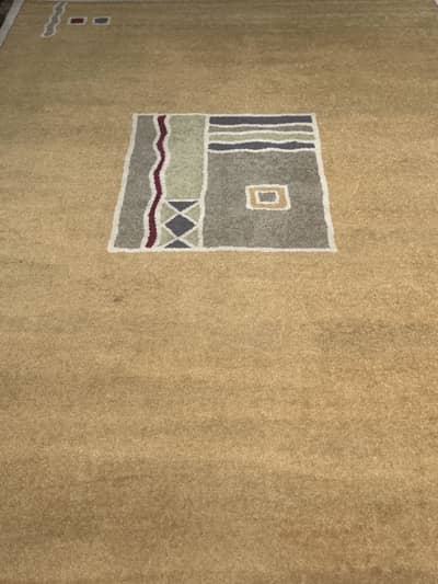 Imported Rug - Best Quality (10x7)