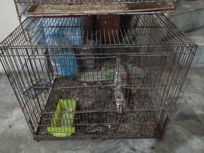 pinjra/cage for sale