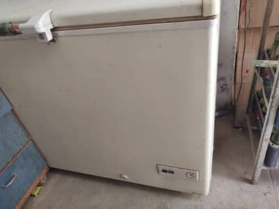 Haier D freezer