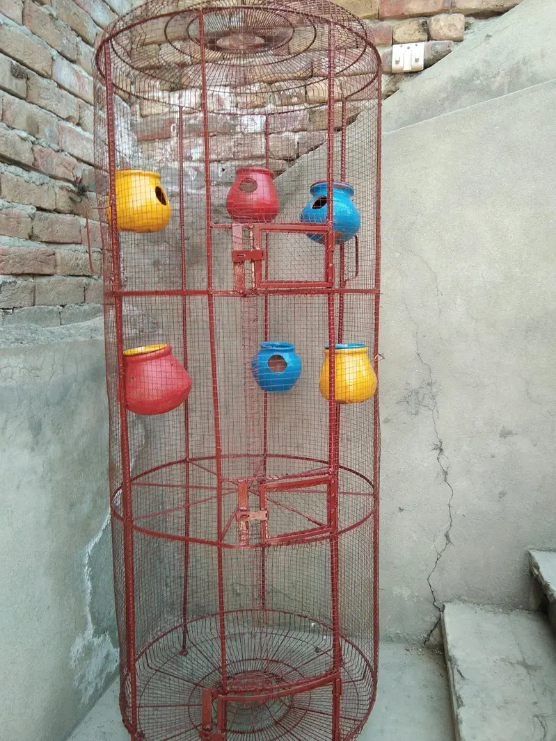 big parrot cage