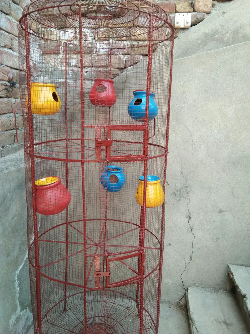 big parrot cage — photo 2
