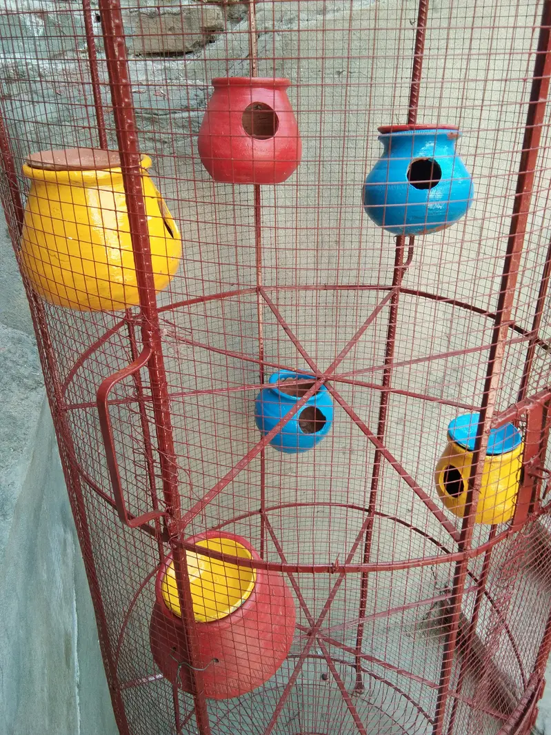 big parrot cage — photo 3