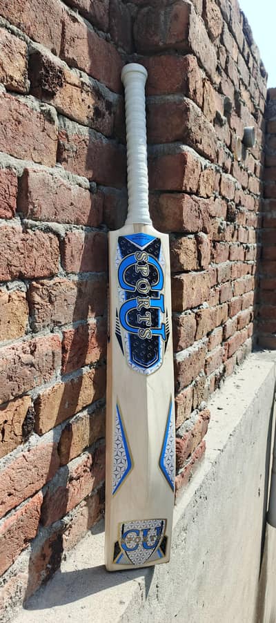 Hard ball cricket bat