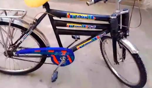 Bicycle new condition