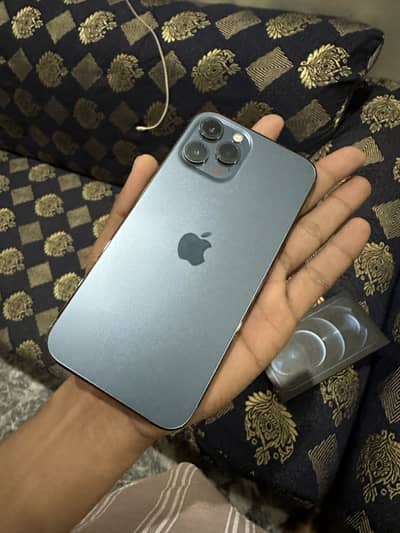 Iphone 12 pro max pta approved