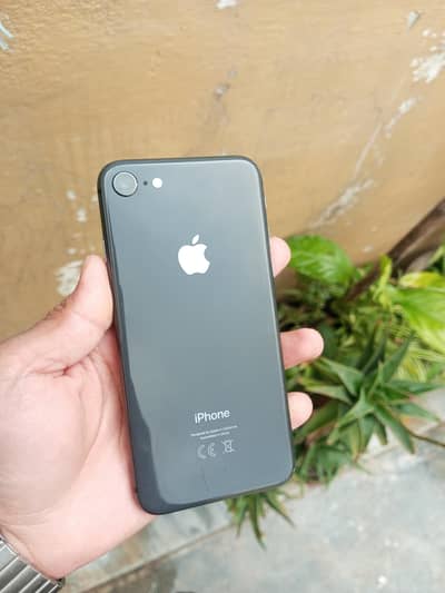 i Phone 8(64Gb) All OriGgnal Non PTA
