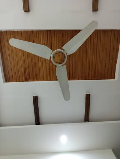 Off White Ceiling Fan