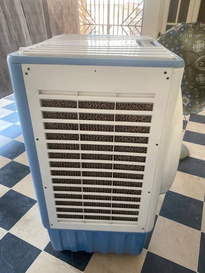 room collor for sale