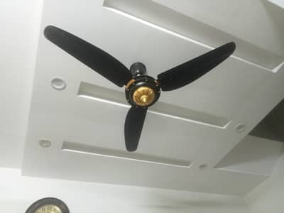 GM ceiling fans
