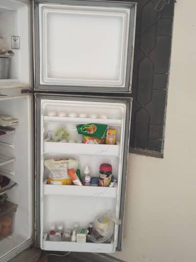 fridge dawlance