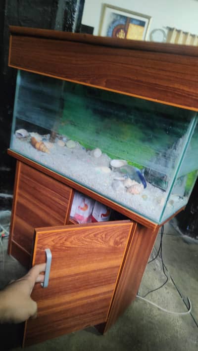 Aquarium Complete with Stand