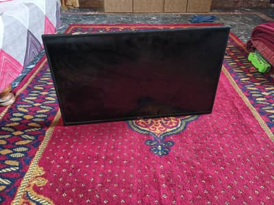 bausat led foam riyadh