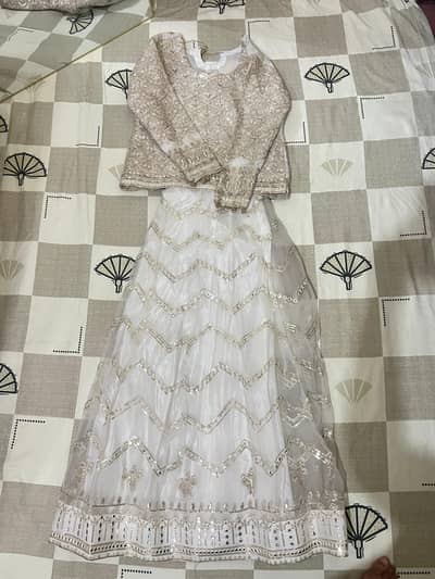 Beautiful Embroidered Bridal / Party Wear Lehenga