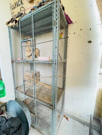 parrot cage for sale