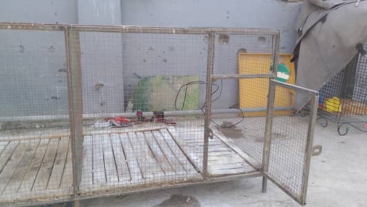 2 Portion Cage Available